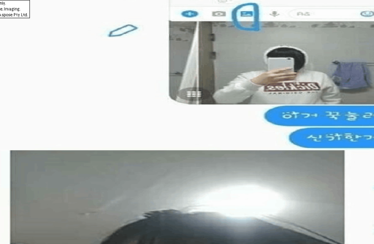 페이스북 도용녀 대참사ㄷㄷ