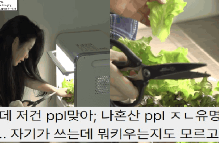 이번 전참시 출연한 신예은 가식 심하다는 소리 나오는 이유