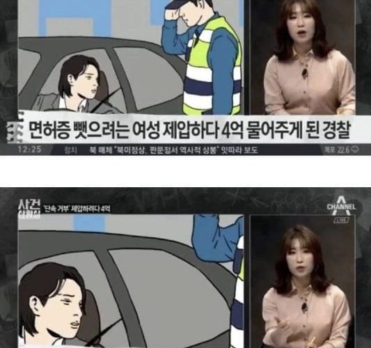 범ㅈ 저지른 여성 제압했는데 4억 물어주게 된 경찰