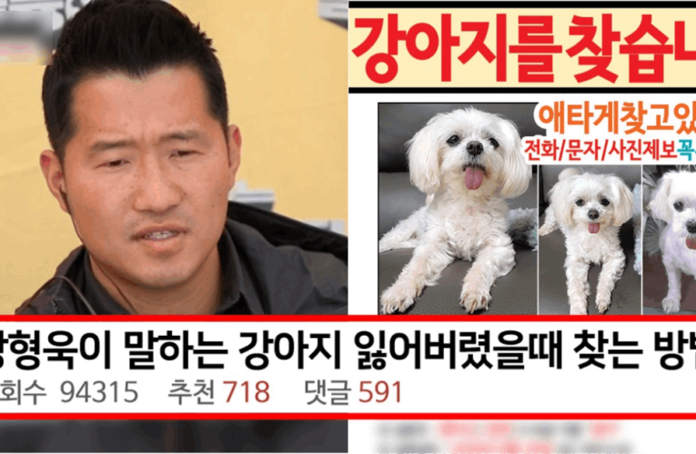 견주들은 무조건 알고 있어야 하다는 강아지 잃어버렸을때 찾는 법