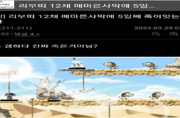 메이플 사람 ㅈ은거 아니냐는 괴담 사건 결말 ㄷㄷ