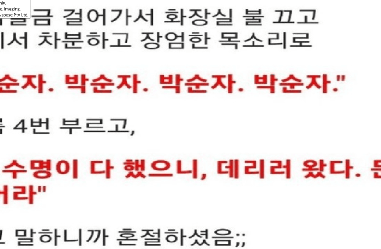 할머니한테 장난 친 손자의 최후..
