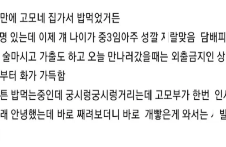 고모네 집 가서 사고 친 사람