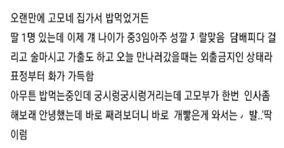 고모네 집 가서 사고 친 사람