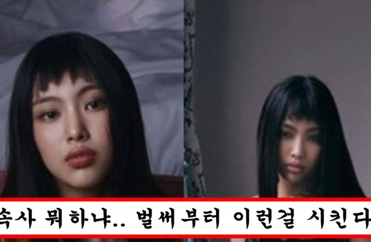 “아직 중학생인데 너무 과감한거 아니야?” 현재 커뮤니티에서 논란중인 뉴진스 혜인 화보 수준