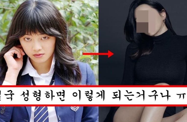 성형하고 존예 찍더니 벌써 부작용 온건가 싶은 홍수아 충격 근황