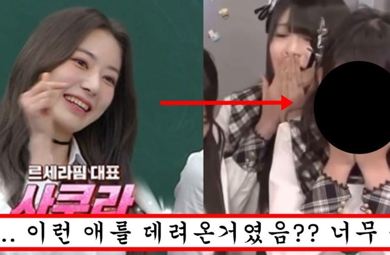 르세라핌 사쿠라가 한국에서는 순수한척 하지만 일본 아이돌 시절에 했다는 예능 수준