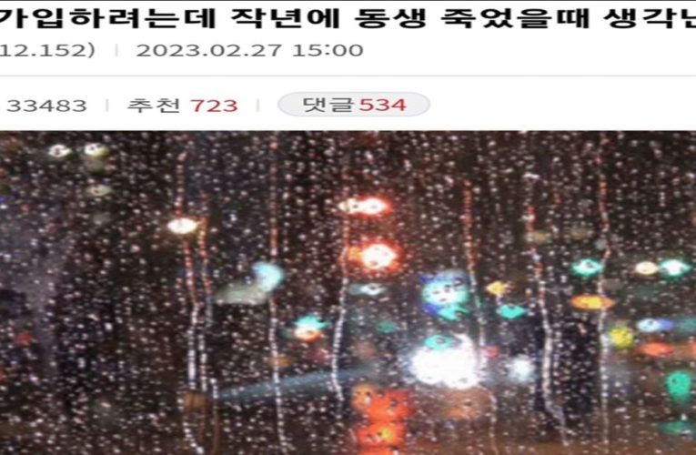 보험 가입하려는데 동생 ㅈ었을 때 생각난다