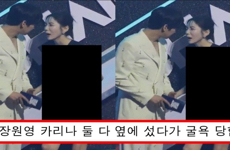 시상식에 과감한 드레스 입고 와서 비율과 얼굴 몸매 모두로 장원영 압살해버린 재벌집 형수님