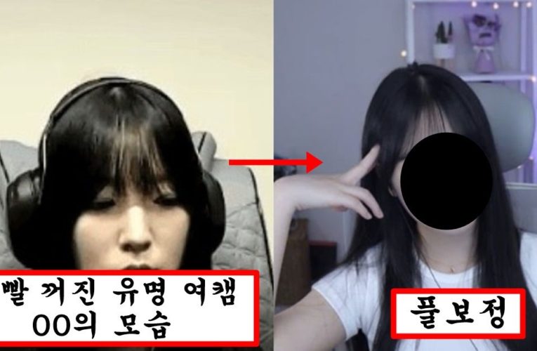 캠 얼굴은 존예라서 인기 개많았는데 실물 공개돼서 열혈 다 떠나버린 아프리카 여캠