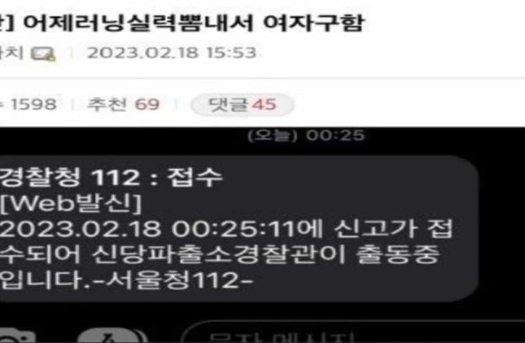 새벽에 산책하다 여자 구한 디시인