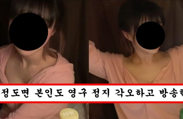 트위치에서 제일 잘 나가던 여캠이 영구정지 당했을 당시 방송