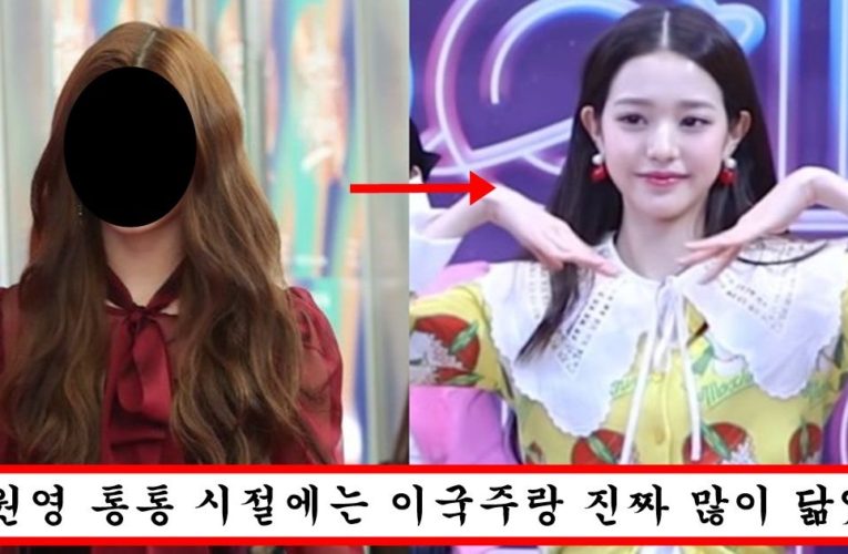 성형 1도 안했다더니 과거 사진 밝혀져버린 신세경 성형전 충격적인 얼굴