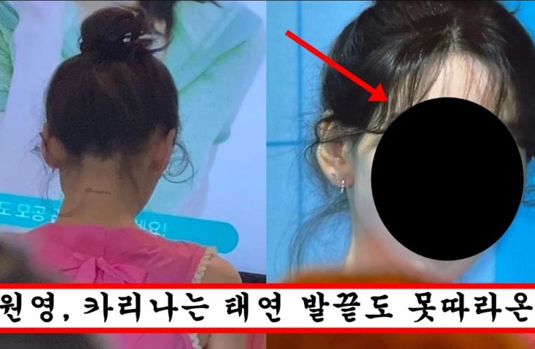 요즘 카리나,장원영이 자꾸 예쁜척 하자 팬이 빡쳐서 올려버린 태연 실물 근접샷 미모