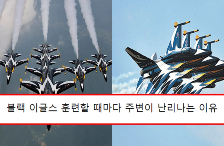 블랙 이글스 훈련할 때마다 주변이 난리나는 이유