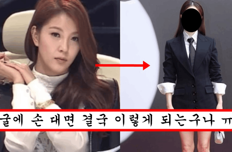 오늘자 그 동안 시술 받은거 한 번에 무너졌는지 팔자주름에 볼 패여서 공식석상에 나타난 보아 충격 비쥬얼