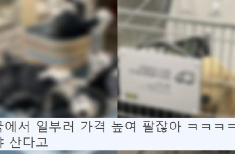 우리나라 싹 점령 했었는데 단물 다 빠져서 한국 뜰 준비를 하고 있다는 외국 대형 기업