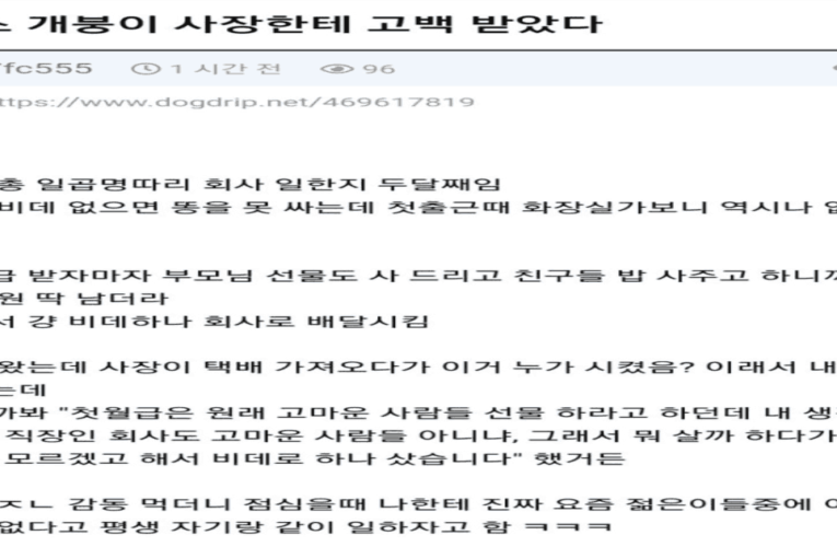 사회생활 만렙인 사람 레전드