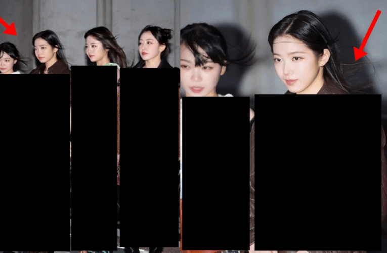 최고의 명품 루이비통으로 둘렀는데 진짜 안어울려서 대참사 나버린 르세라핌 맴버들