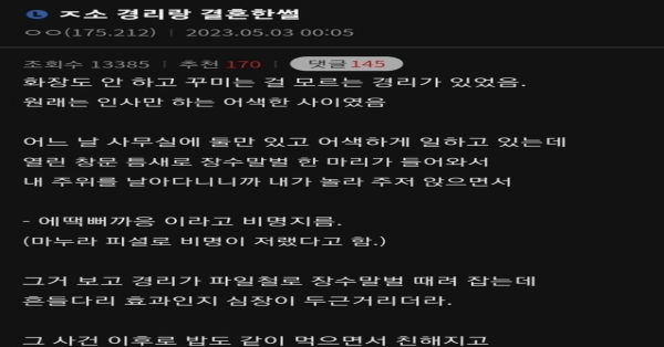 오늘자 중소기업 경리랑 결혼한 디시인