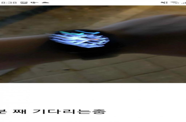컴퓨터 갤러리 레전드 현P사건