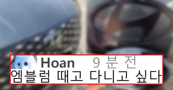 문제 차량들이 너무 많아 엠블럼 재고가 없을 정도라는 현대 그랜저 엠블럼 근황