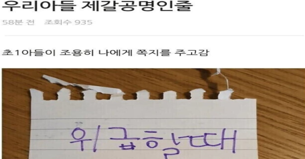 전생에 제갈량이 의심되는 아들