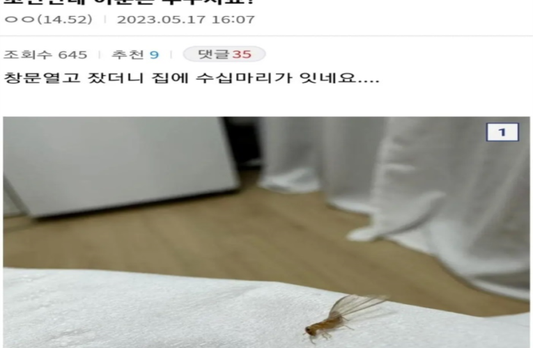 현재 뒤집어진 디시 곤충갤러리 근황
