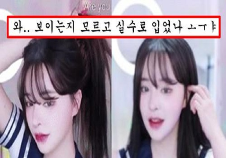 아프리카 영정 먹고 트위치로 옮기더니 더 과감하게 방송 시작한 손밍 근황
