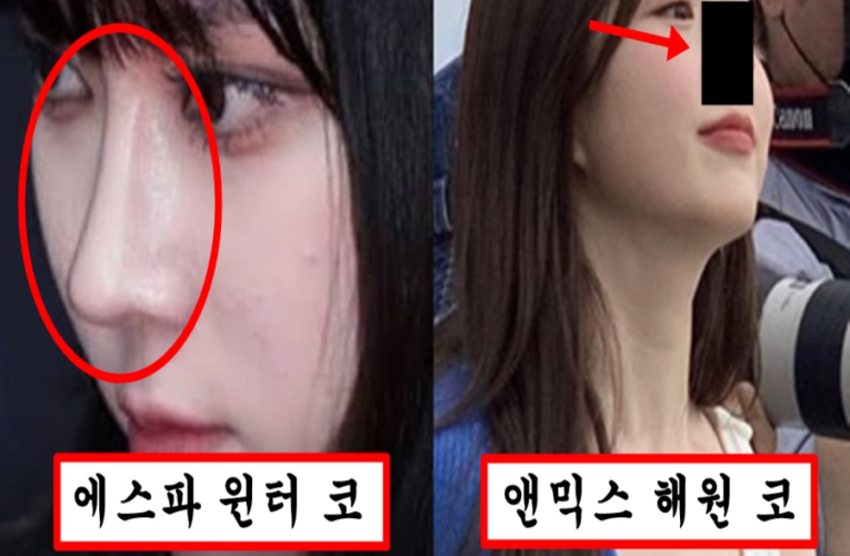 코 성형 너무 심하게 해서 윈터 코보다 더 보기 싫다는 엔믹스 맴버