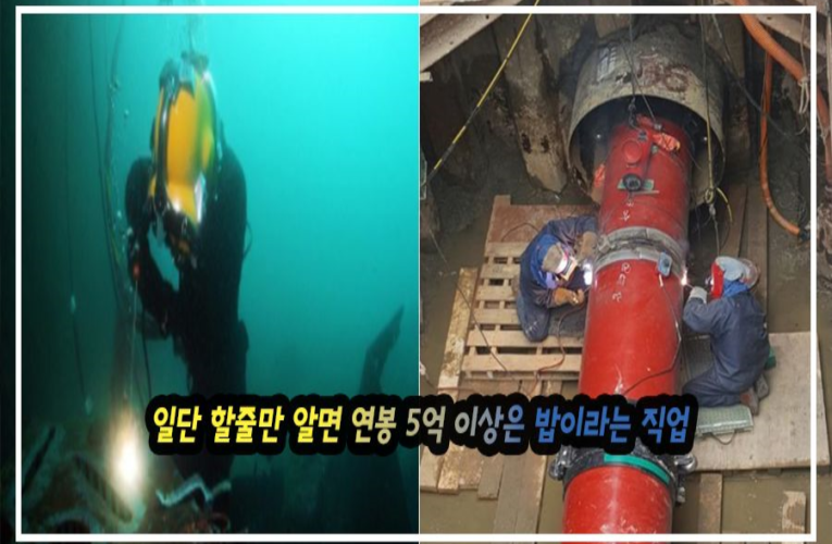 일단 할줄만 알면 연봉 5억 이상은 밥이라는 직업