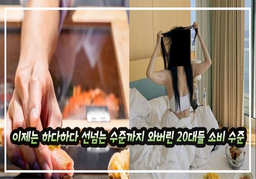 이제는 하다하다 선넘는 수준까지 와버린 20대들 소비 수준