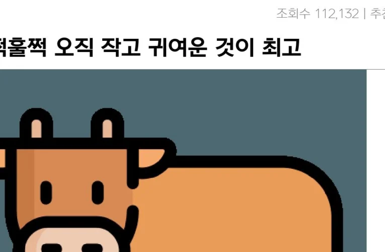 훌쩍훌쩍 오직 작고 귀여운 것이 최고인 이유