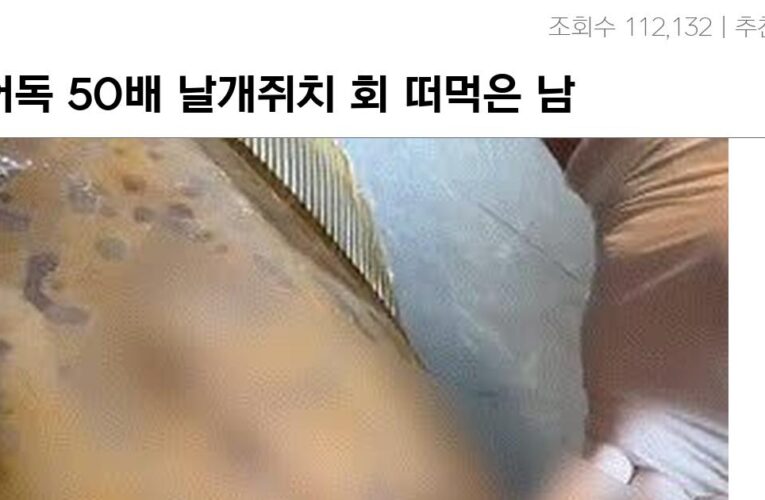 복어독 50배 날개쥐치 회 떠먹은 남자 ㄷㄷㄷ