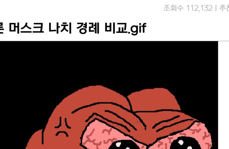 일론 머스크 나치 경례 비교.gif