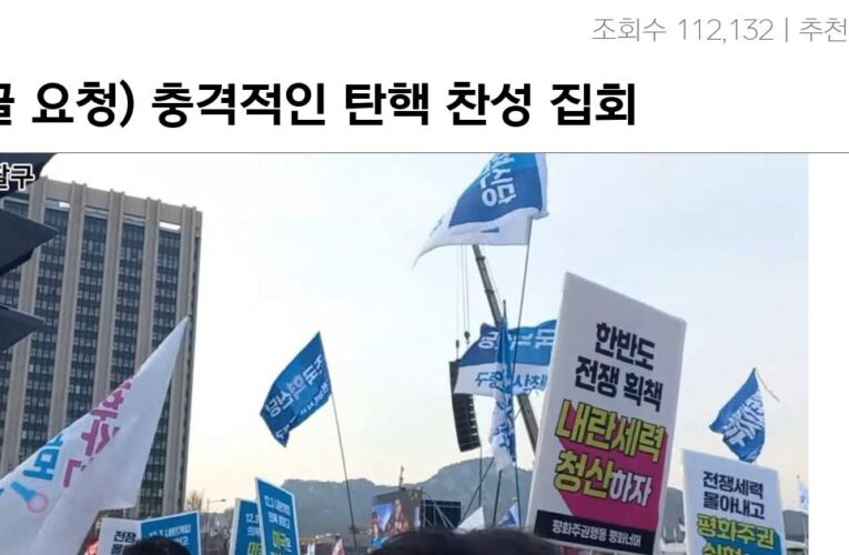 념글 요청) 충격적인 탄핵 찬성 집회 근황