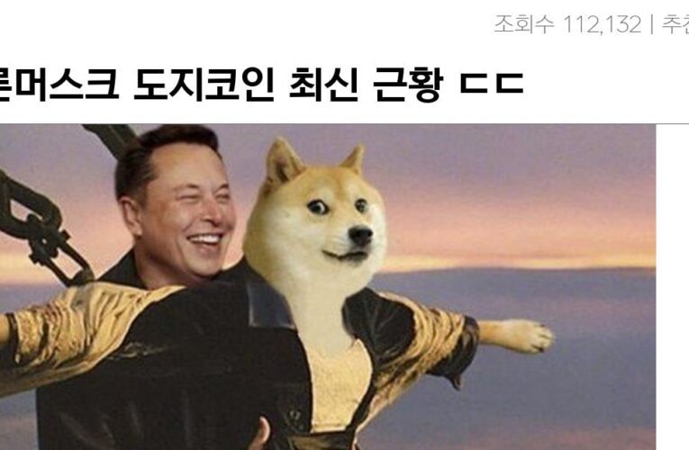 일론머스크 도지코인 최신 근황 ㄷㄷ