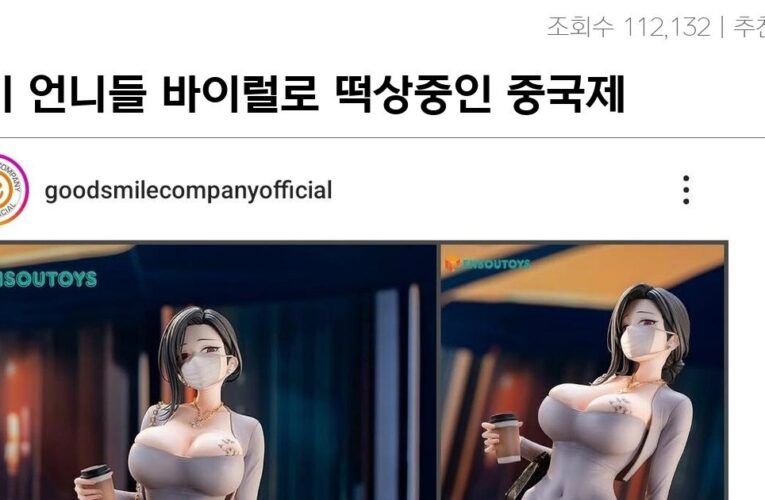 페미 언니들 바이럴로 떡상중인 중국제 동탄밈 피규어 근황