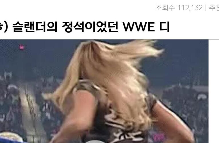 ㅇㅎ) 슬랜더의 정석이었던 WWE 디바