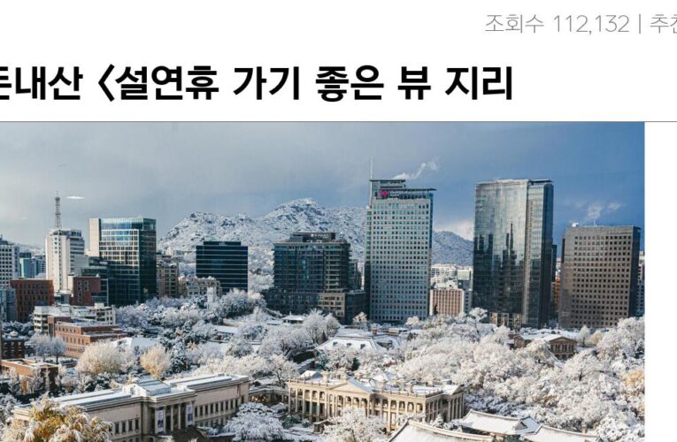 내돈내산 