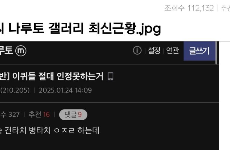 디씨 나루토 갤러리 최신근황..