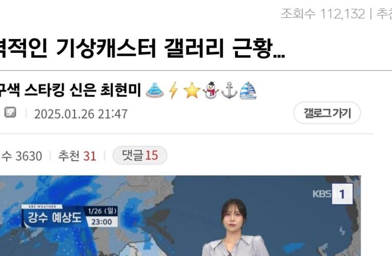 충격적인 기상캐스터 갤러리 근황…보고 찾아가봄