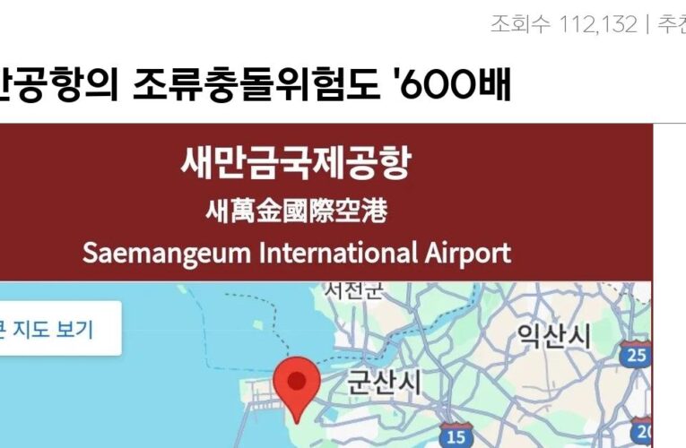 무안공항의 조류충돌위험도 ‘600배 이상’이라는 새만금국제공항ㄷㄷㄷ