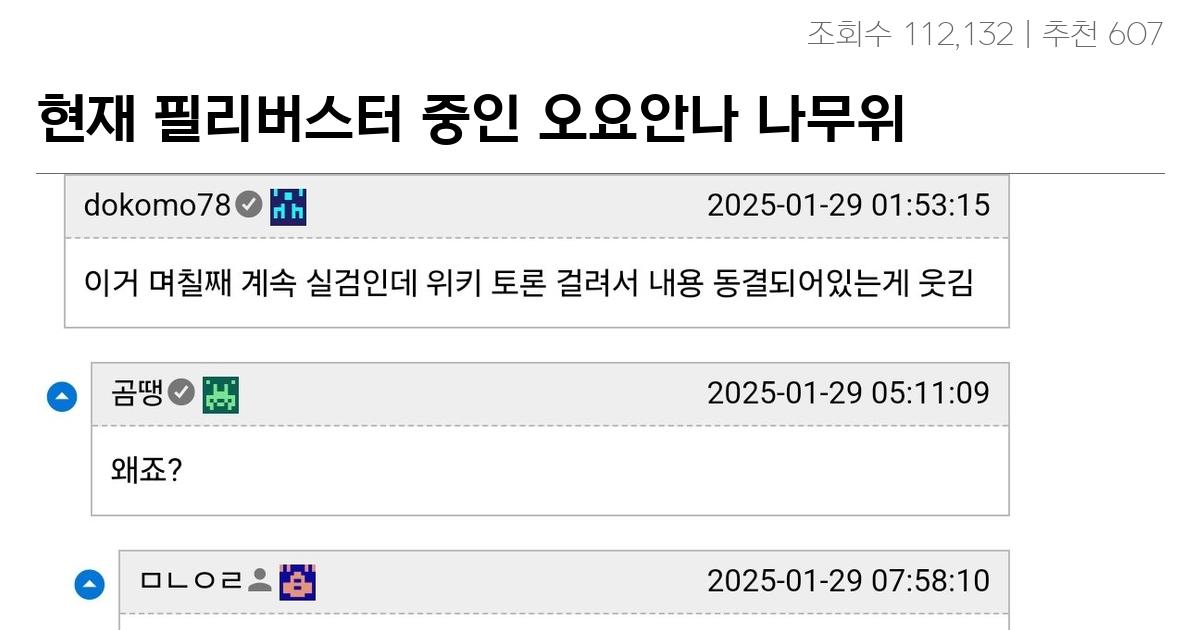 현재 필리버스터 중인 오요안나 나무위키 현 상황 JPG
