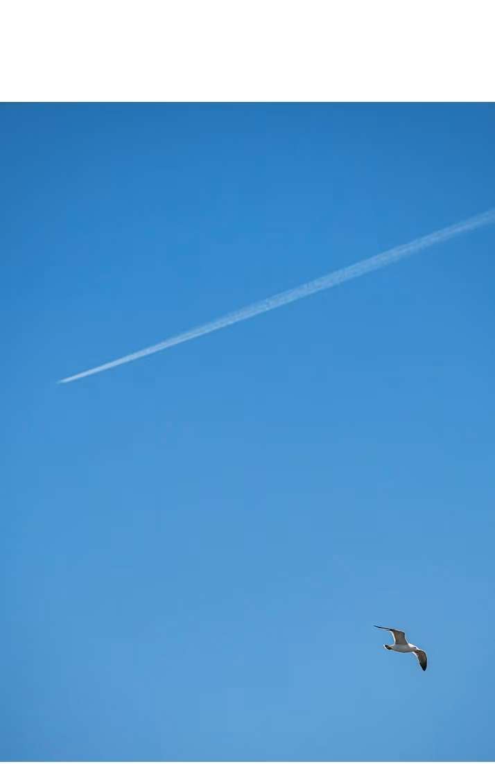 D2014494_14