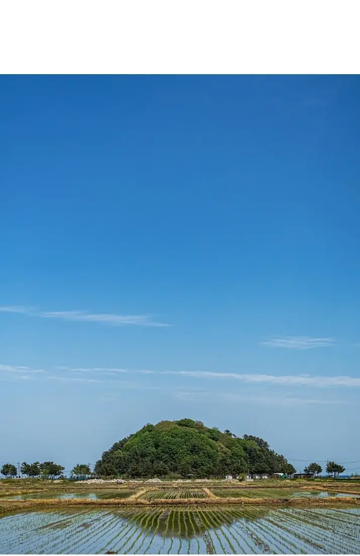 D2014494_4