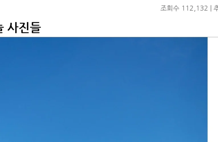 오늘 사진들