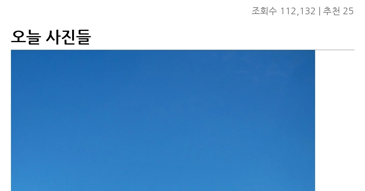 오늘 사진들
