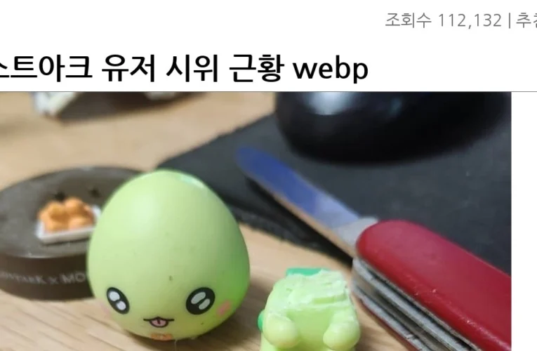 로스트아크 유저 시위 근황 webp