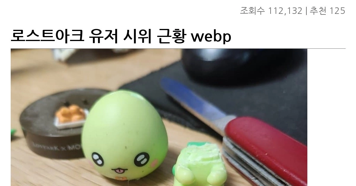 로스트아크 유저 시위 근황 webp